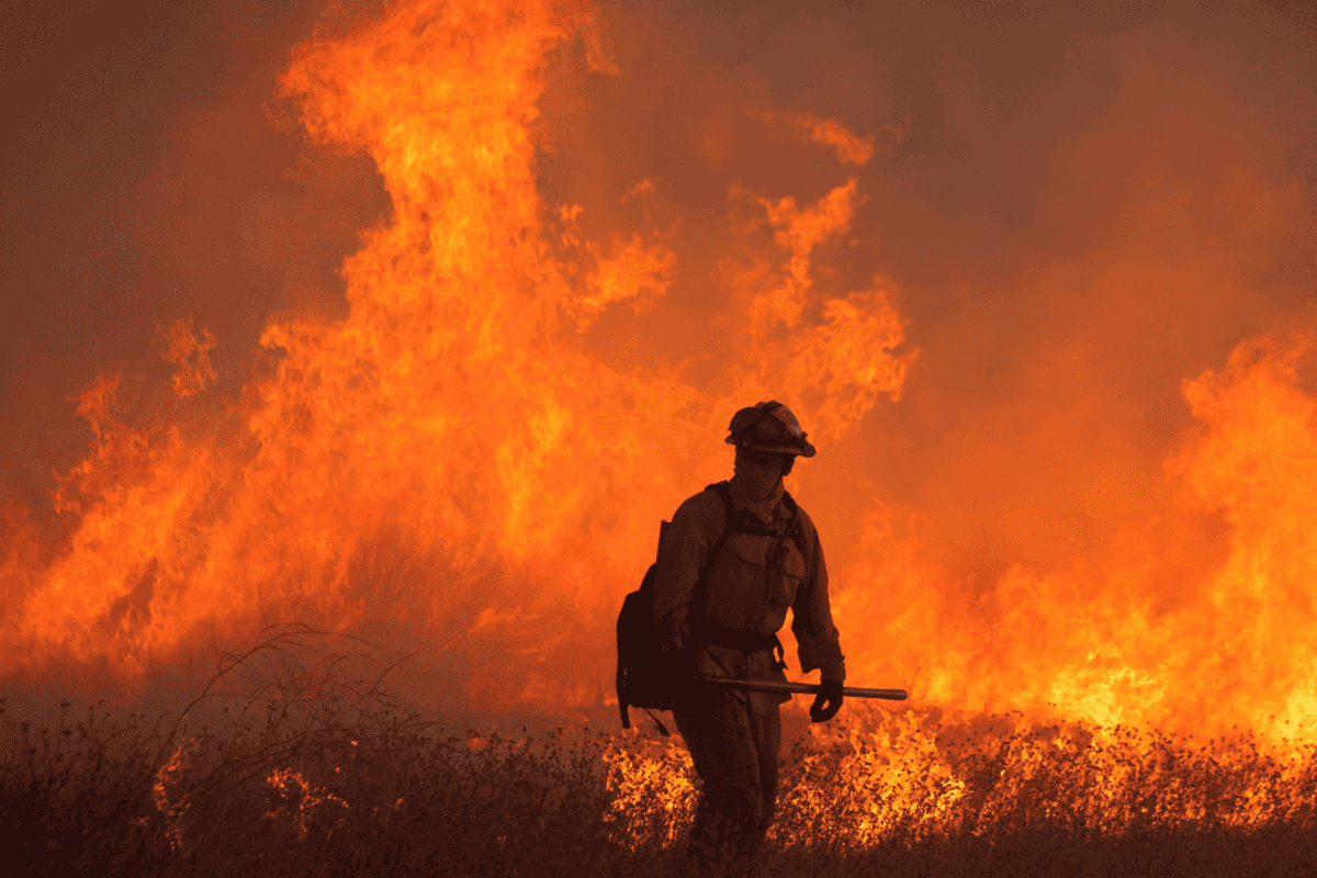 Los Angeles wildfires could consume 30% of European reinsurers’ catastrophe budgets for 2025