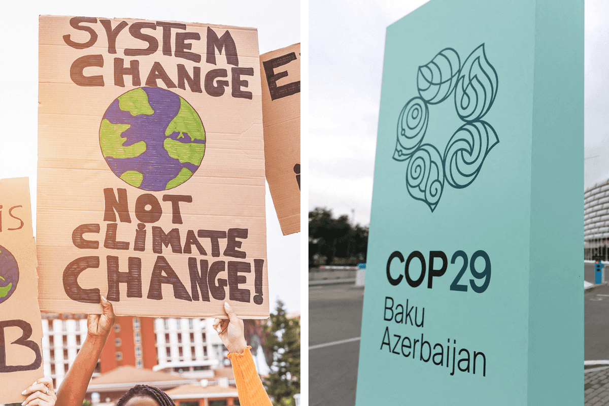 2024 was the first year above 1.5C of global warming, scientists say