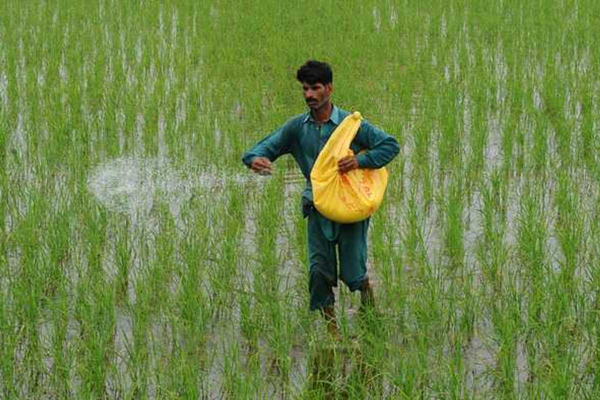 Pakistan fertilizer sales up due to discounts, govt subsidy