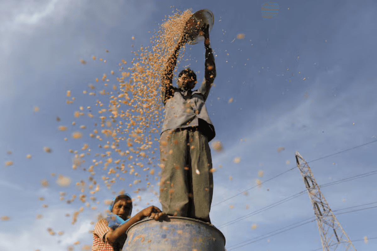 India wheat, rice production to rise to record high, government says