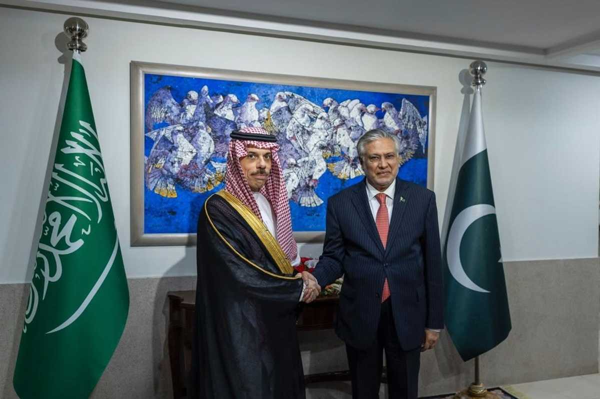 Pakistan, Saudi Arabia vow to work with global partners for lasting peace in Palestine