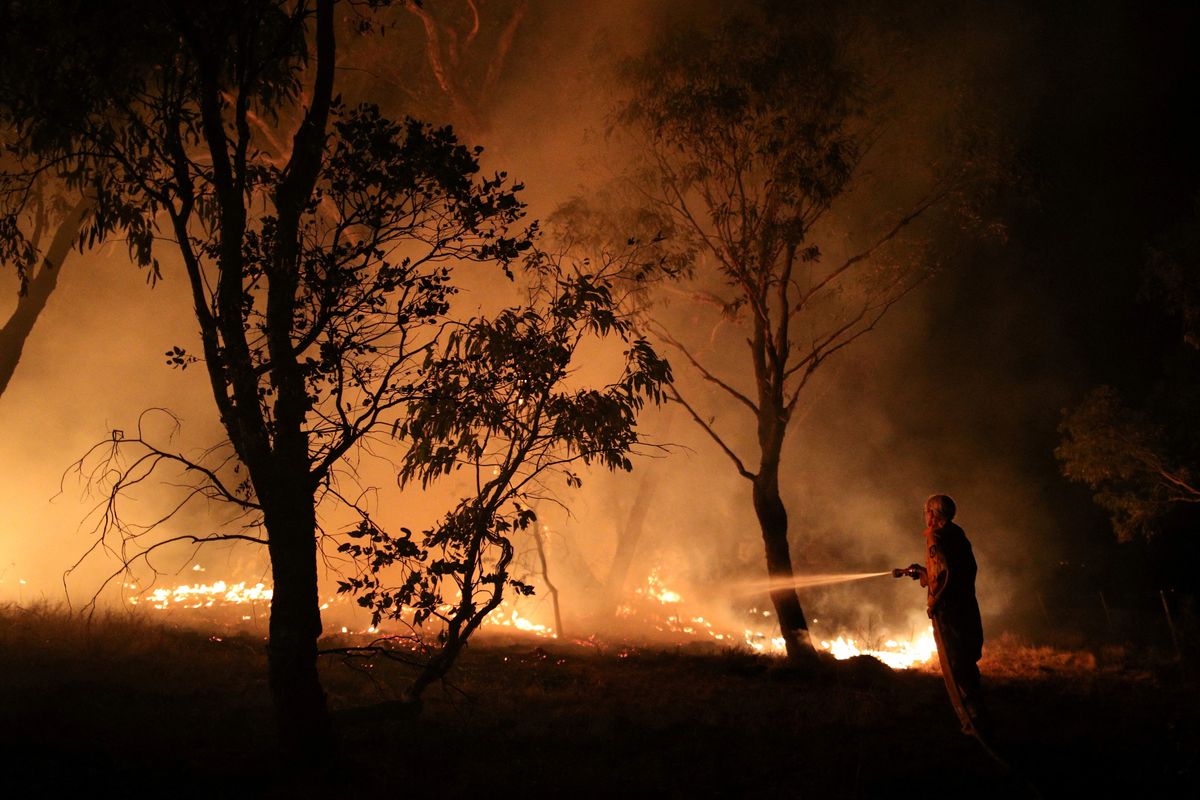 Raging bushfires in Australia destroy home and livestock