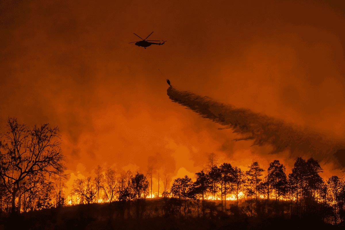 Out-of-control Australia bushfire will burn for days, officials say