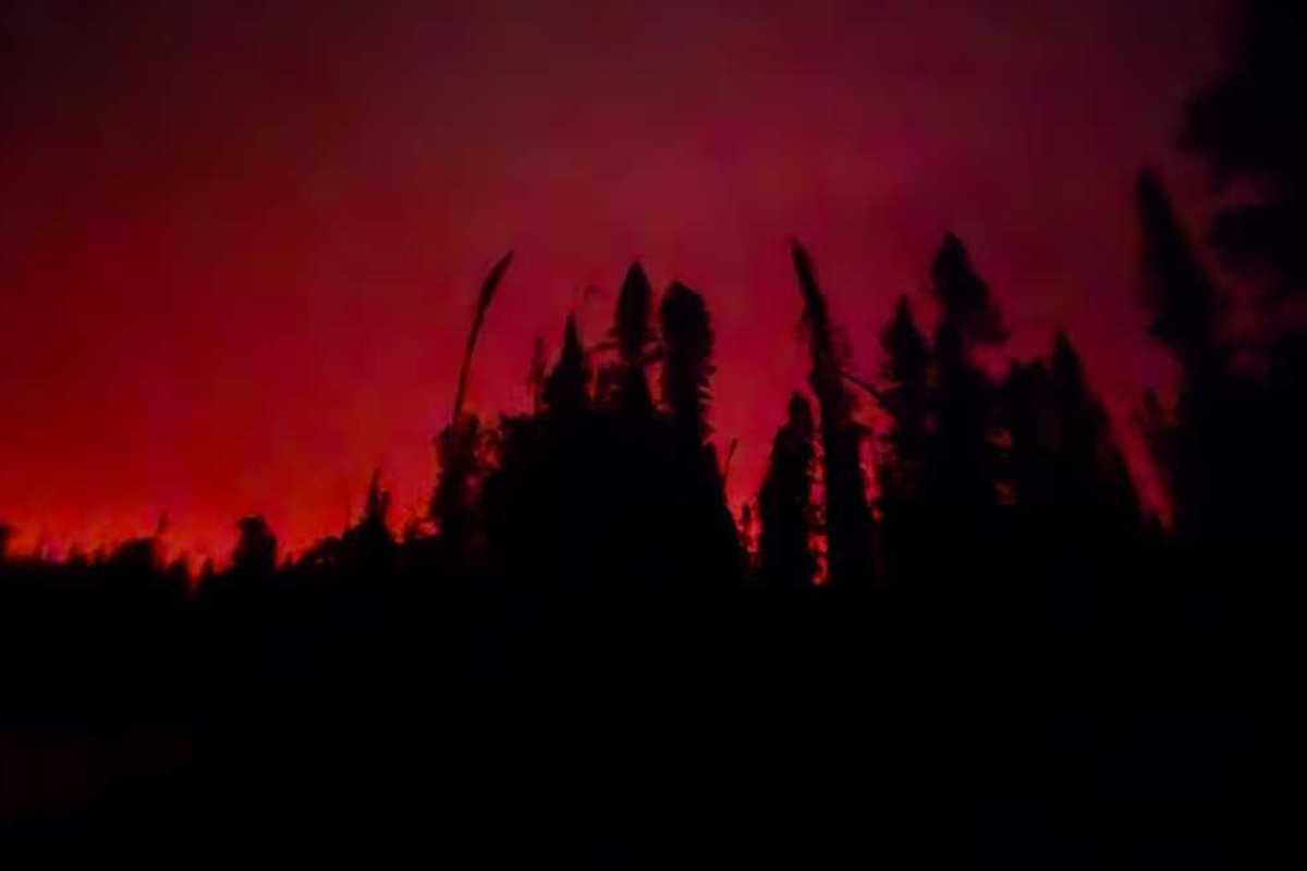 Trump threatens higher Canada tariffs over wildfire smoke choking US cities