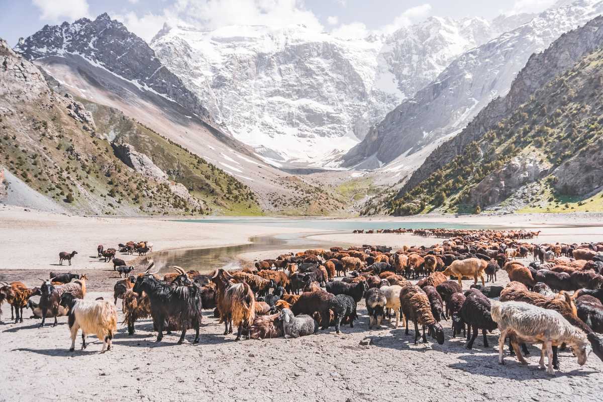 Over 1,000 glaciers vanish from Central Asian mountains in three decades