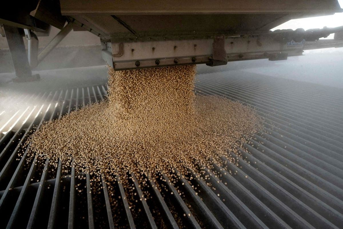 China buys at least 10 US soybean cargoes in new deals after Trump-Xi call, sources say