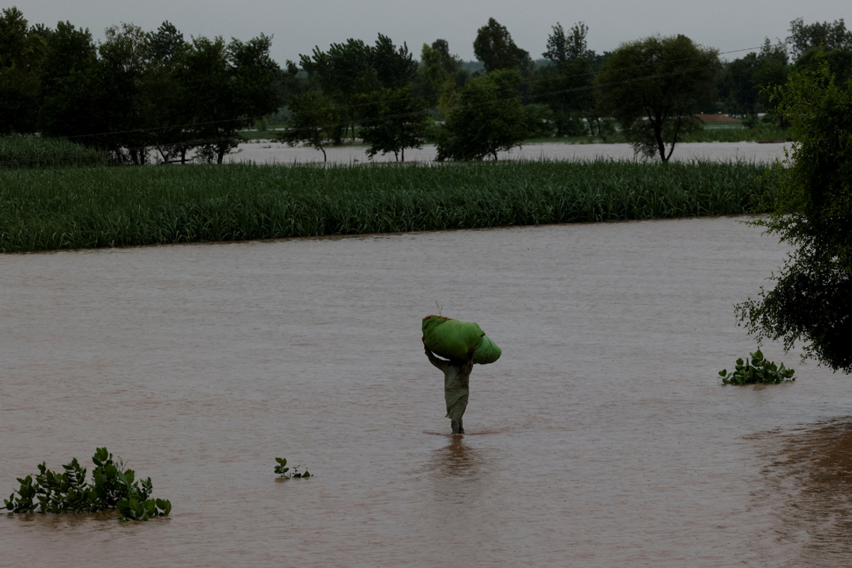 Pakistan Business Forum urges ‘agricultural emergency’ as floods devastate crops