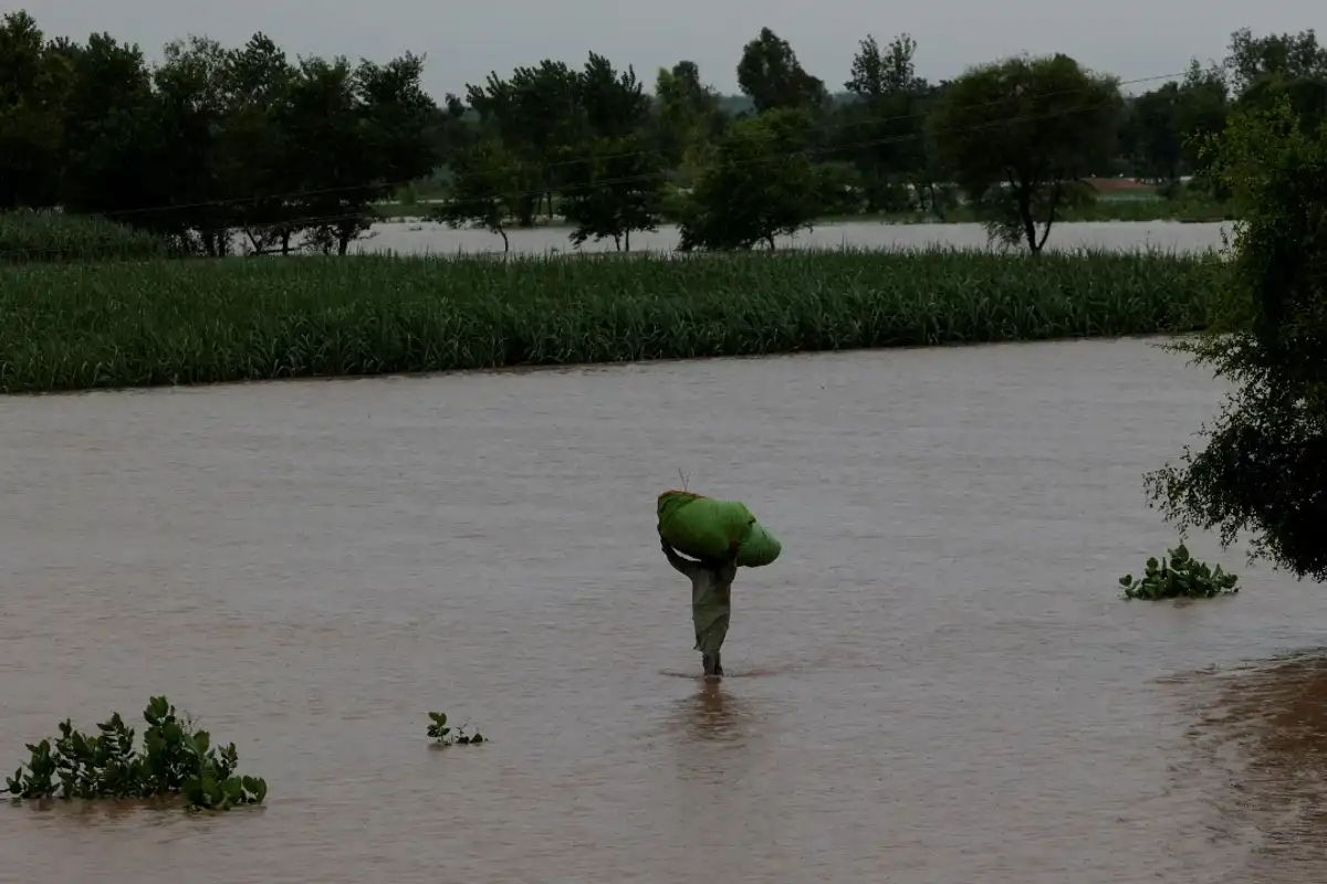 Floods, heavy rains threaten Pakistan’s cotton crop