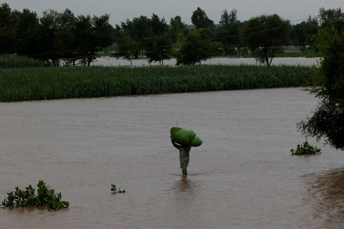 Floods, heavy rains threaten Pakistan’s cotton crop