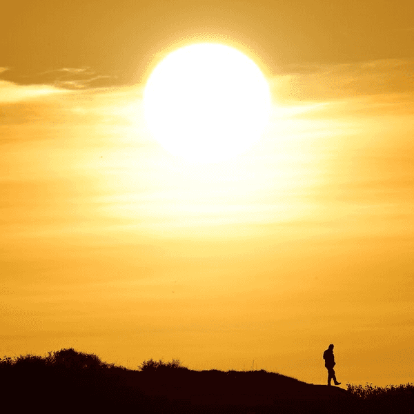 August hottest month ever recorded globally, EU monitor says