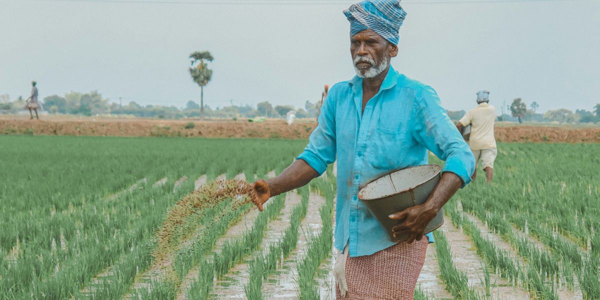 Pakistan's Fertilizer Sales Plummet: Rabi Season Wrap-Up | Nukta