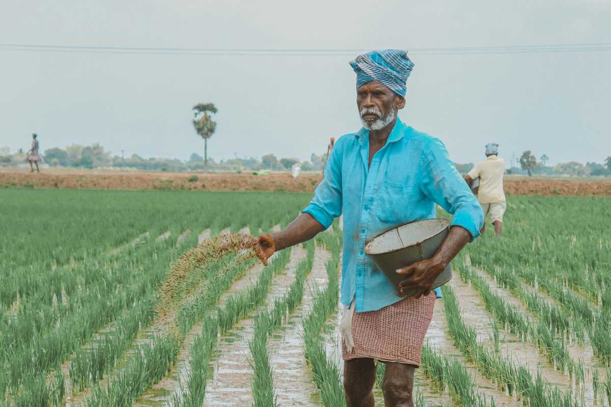 Pakistan’s Fertilizer Sales Decline as Rabi Sowing Ends