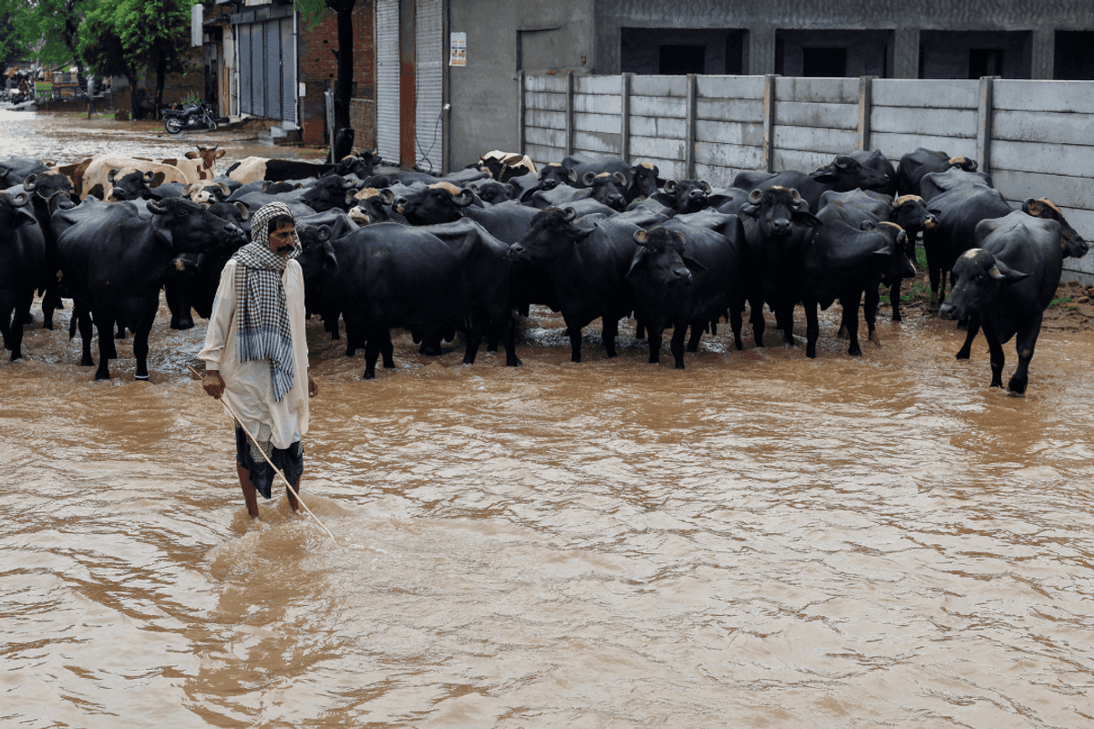 Floods intensify inflation risks, threaten key crops in Pakistan