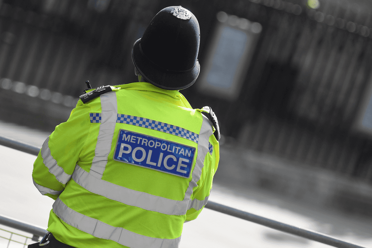 Brothers blame influencer mum's 'conspiracy theories' after sister's death