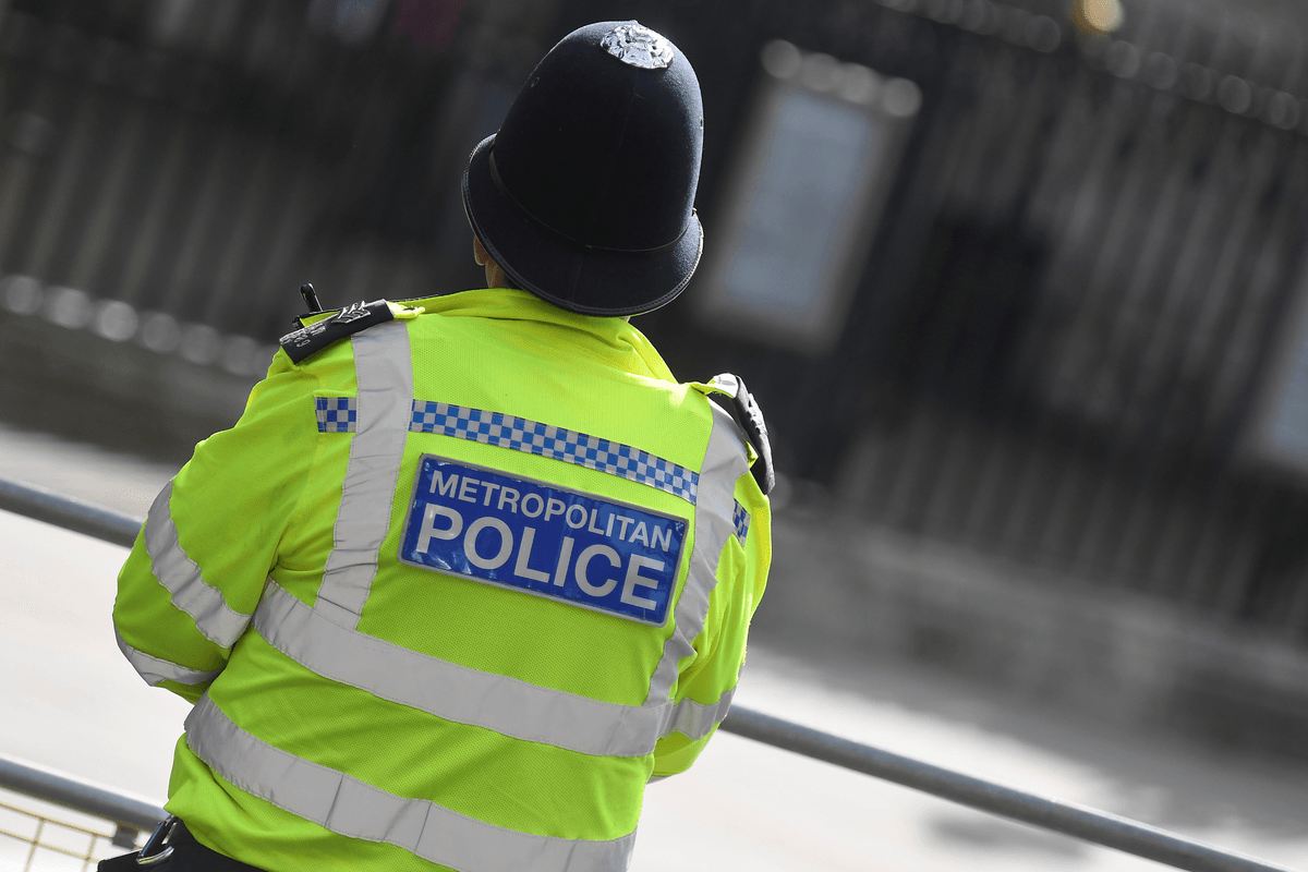 Brothers blame influencer mum's 'conspiracy theories' after sister's death