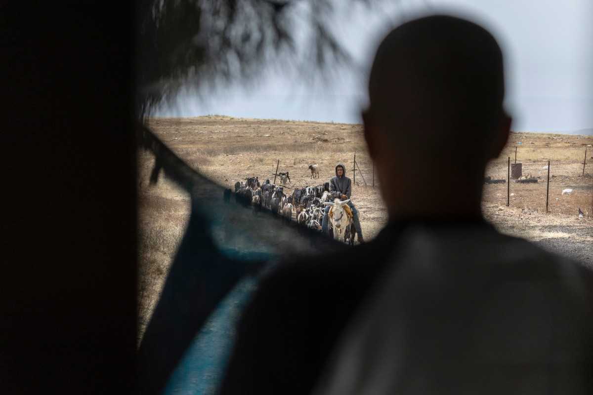 NYT report says Israeli sexual abuse of Palestinian detainees is 'widespread'