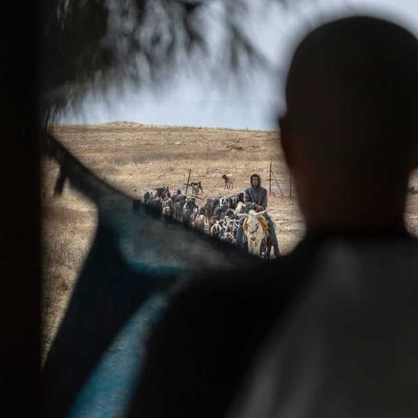 NYT report says Israeli sexual abuse of Palestinian detainees is 'widespread'