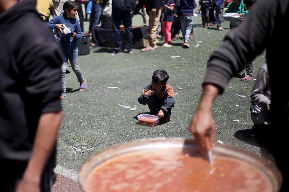 Gazans resort to turtle meat in hunt for food