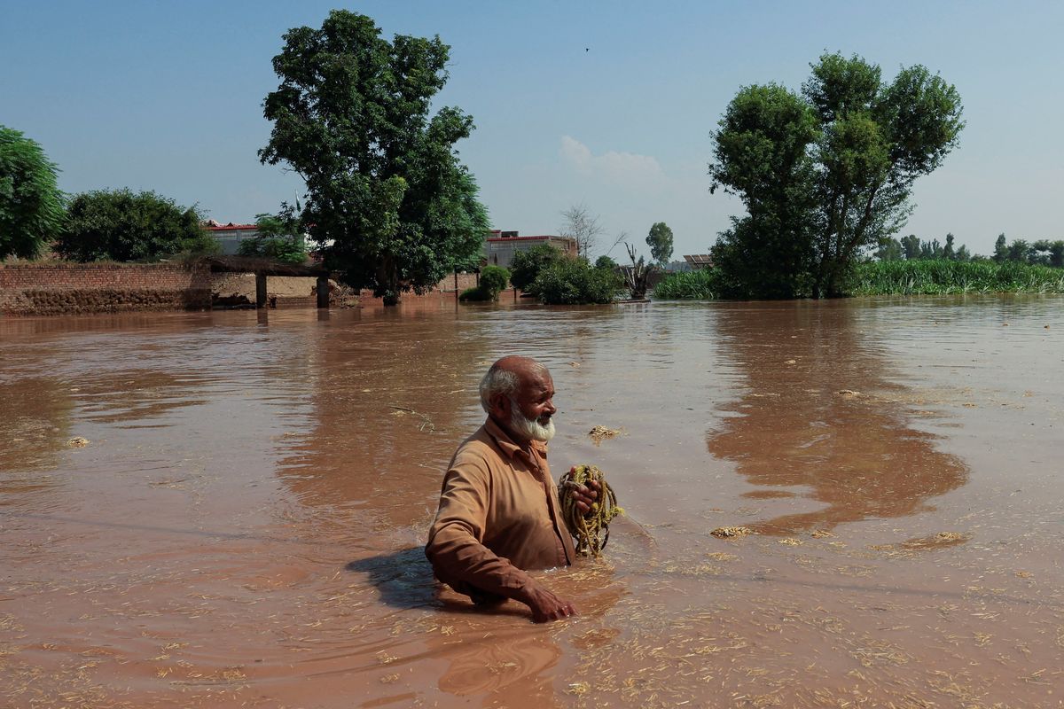 Pakistan to face food price hike, economic disruption after floods: report