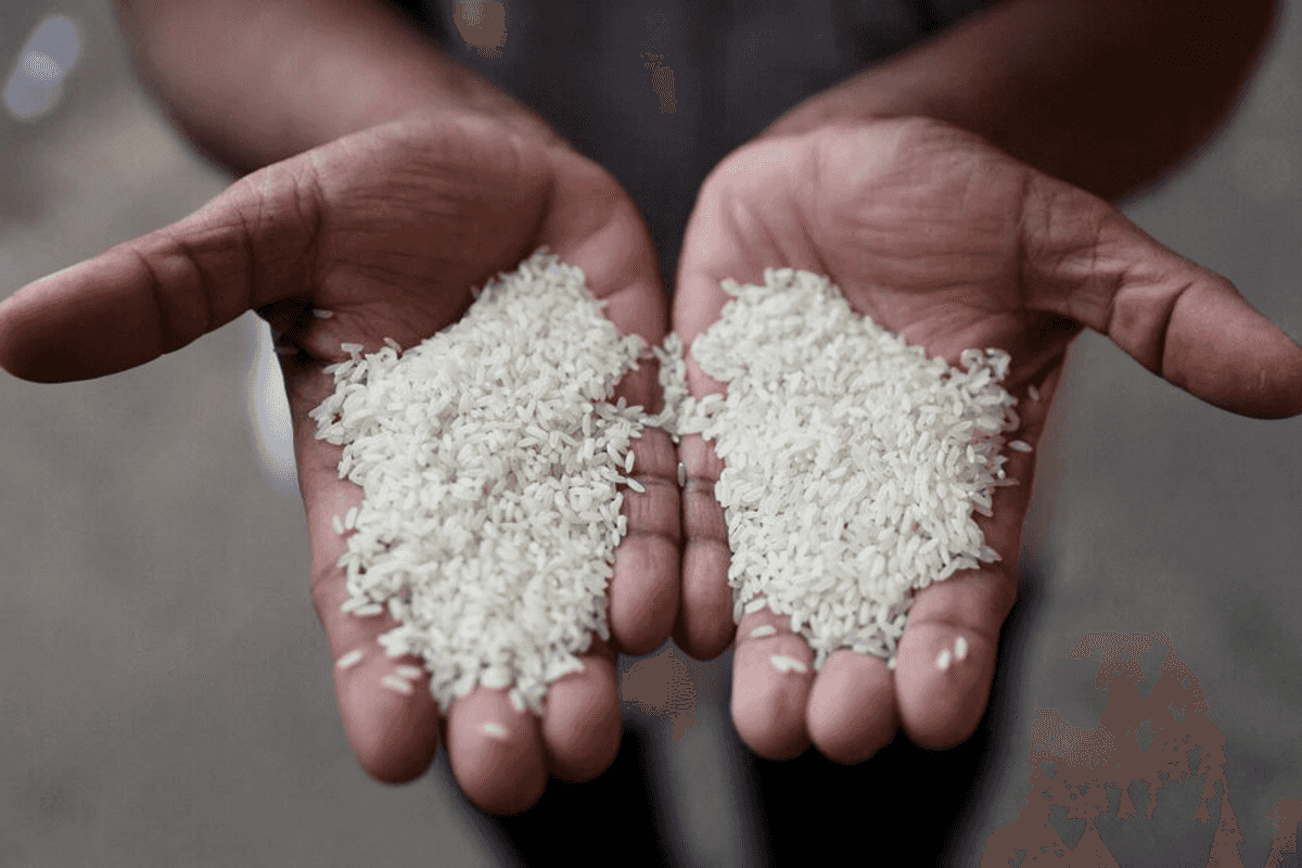Pakistan exports rice to Bangladesh after more than 5 decades