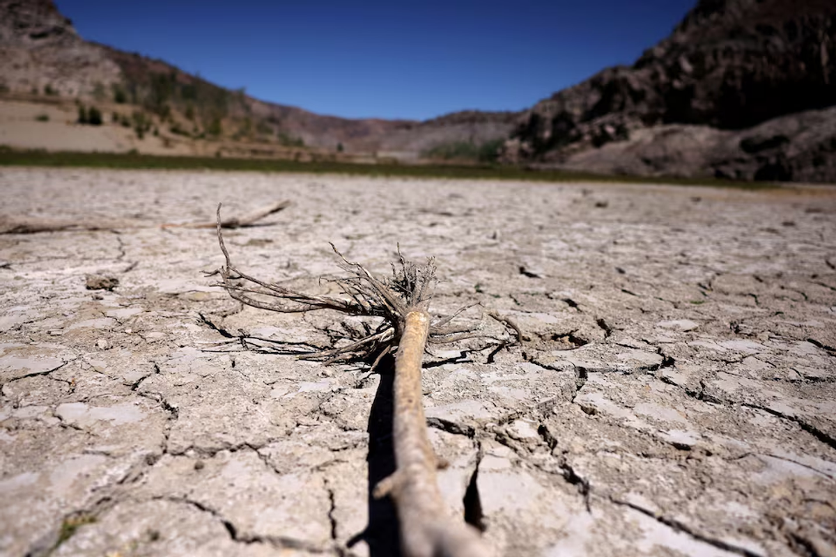 UN calls for $2.6 trillion investment to reverse land degradation