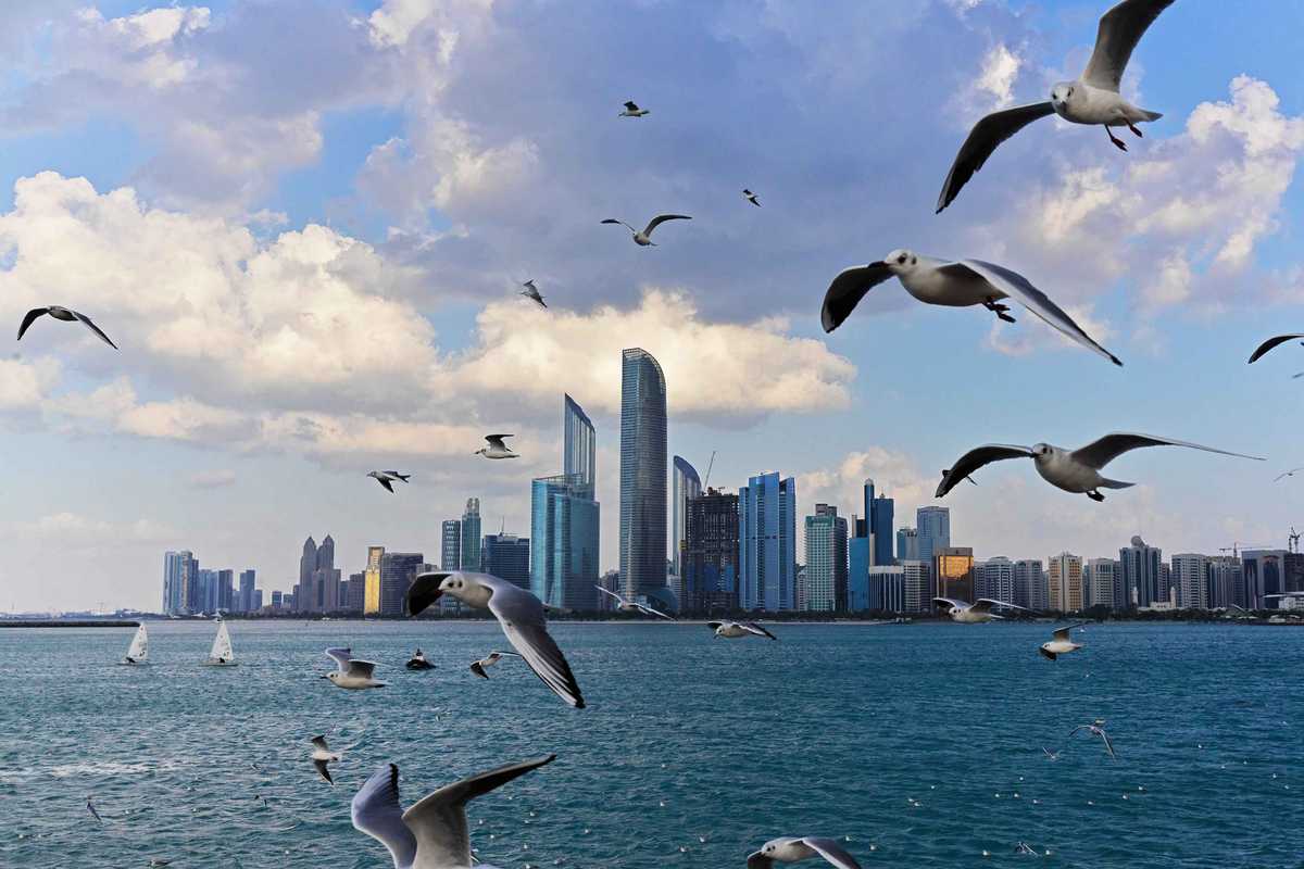 Abu Dhabi real estate market sees record growth in 2025