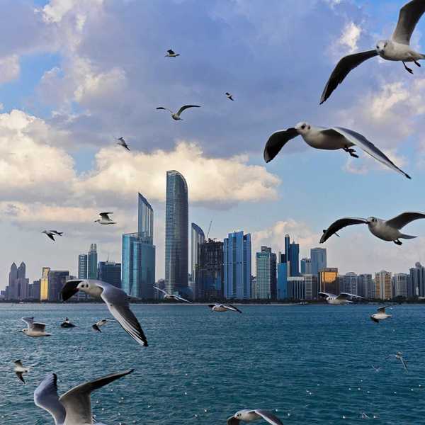 Abu Dhabi, Italy move to deepen strategic economic ties