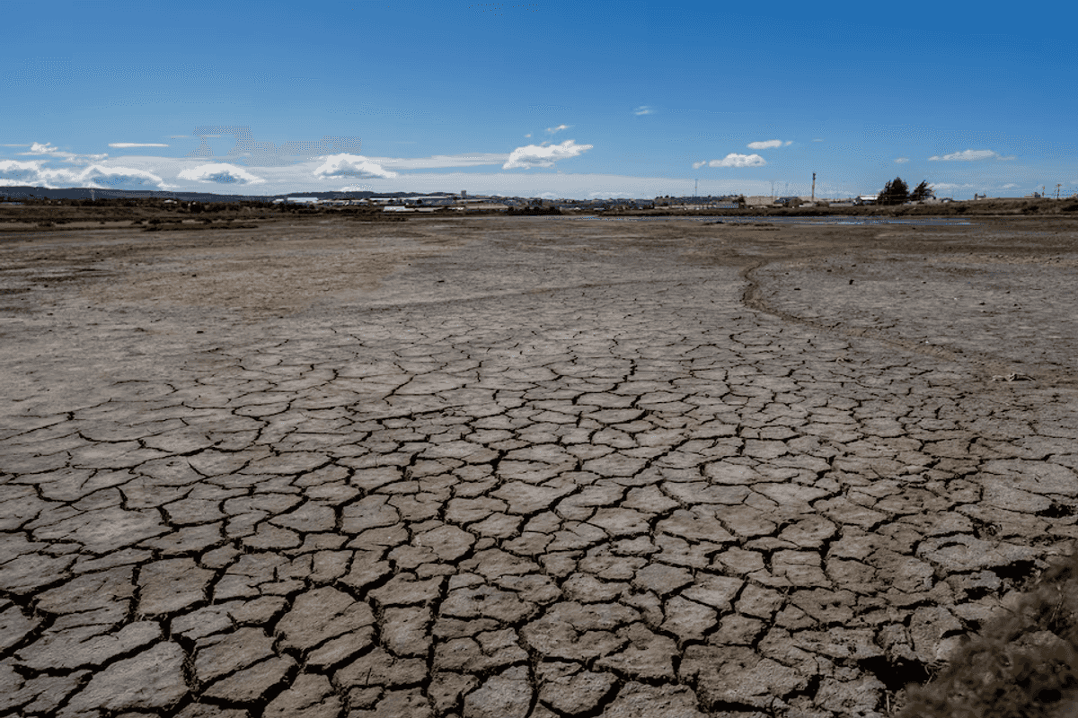 UN says strong chance average warming will top 1.5C in next 4 years