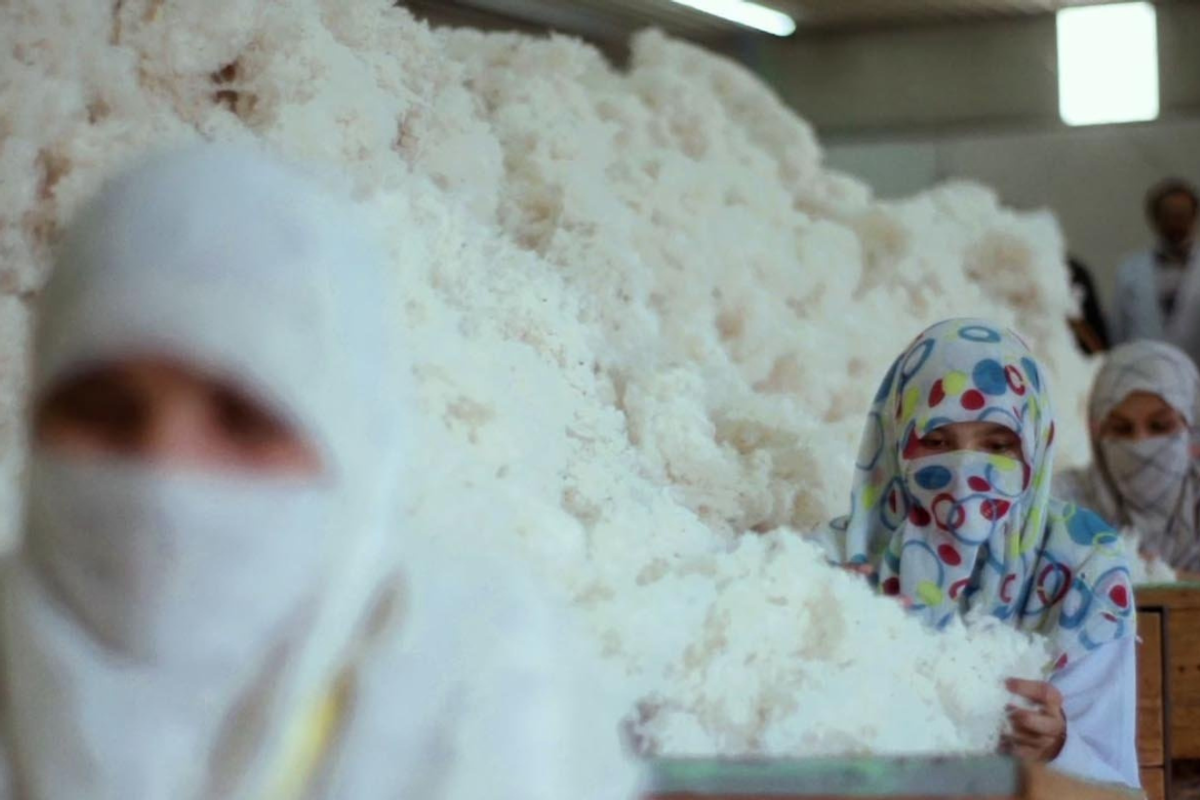 Nishat Mills to boost renewable energy and expand yarn, garment operations