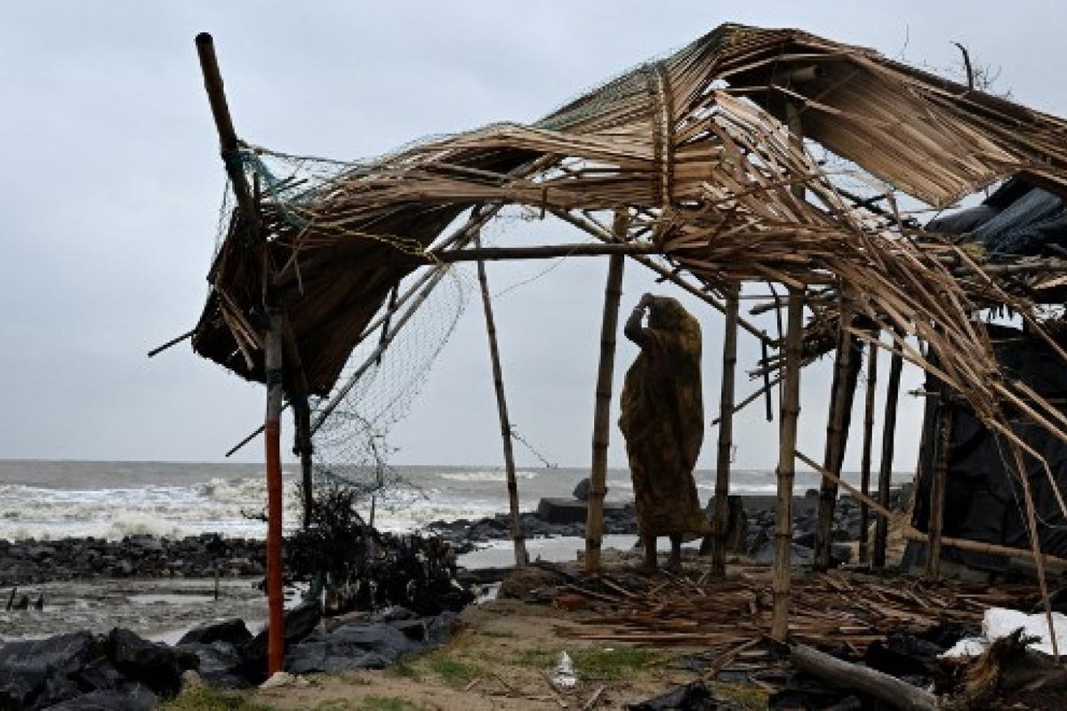 Trees and power lines flattened as Cyclone Dana hits India