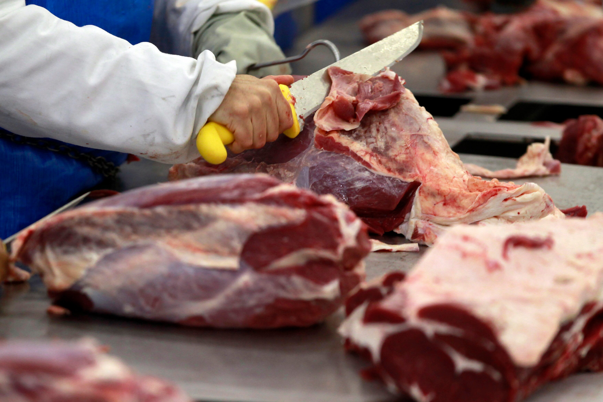 Brazil can no longer export poultry and meat to EU due to bird flu