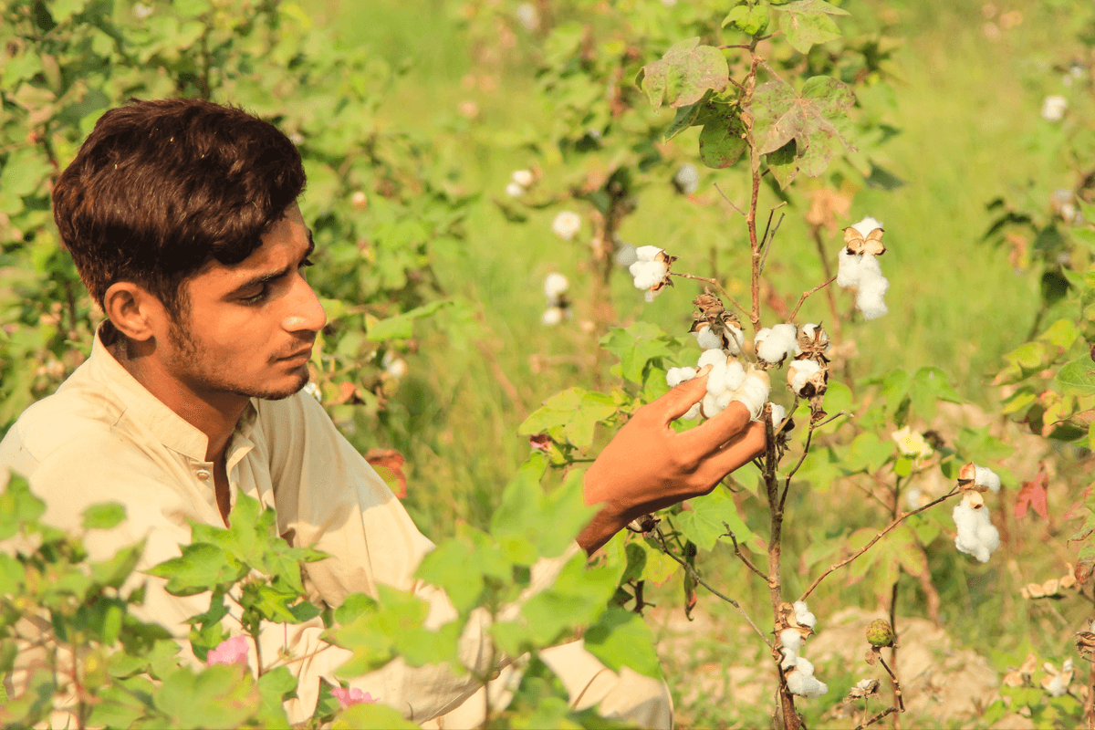 Unsustainable farming, forest loss driving Earth to 'precipice': UN