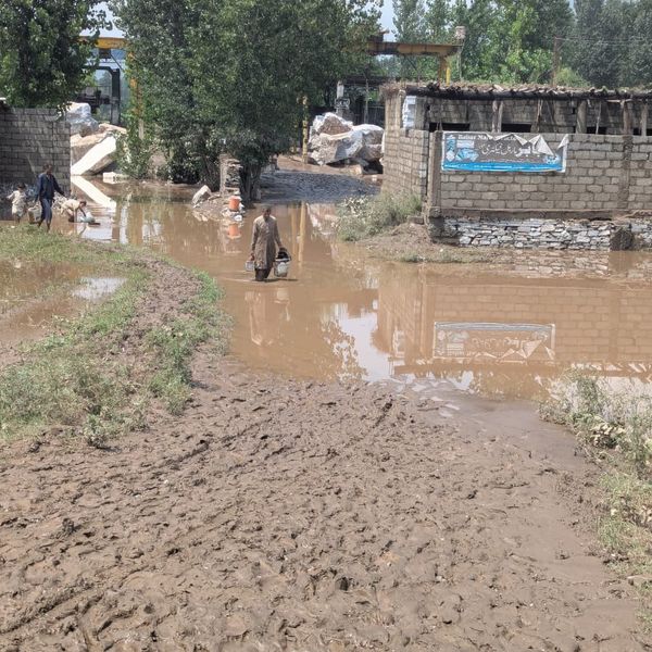Flood-hit Pakistan province faces food crisis as Punjab ‘halts’ wheat supply