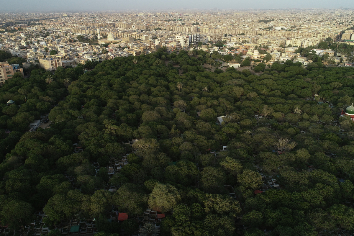 Pakistan’s first line of defense against floods and heatwaves is disappearing