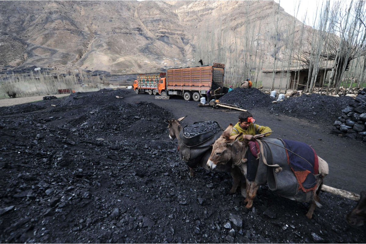 Miners rescued from collapsed Afghan coal mine: provincial official
