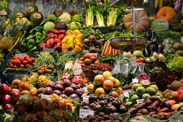 Pakistani value-added fruit industry highlights challenges, solutions and major potential in Saudi market after 'Makkah Pact'