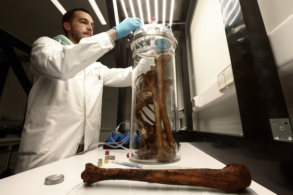 Scientist bottles smell of bones to help solve cold cases