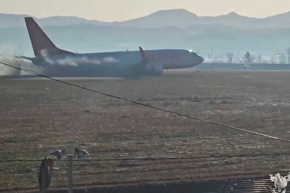 Experts question bird strike as cause of South Korea plane crash