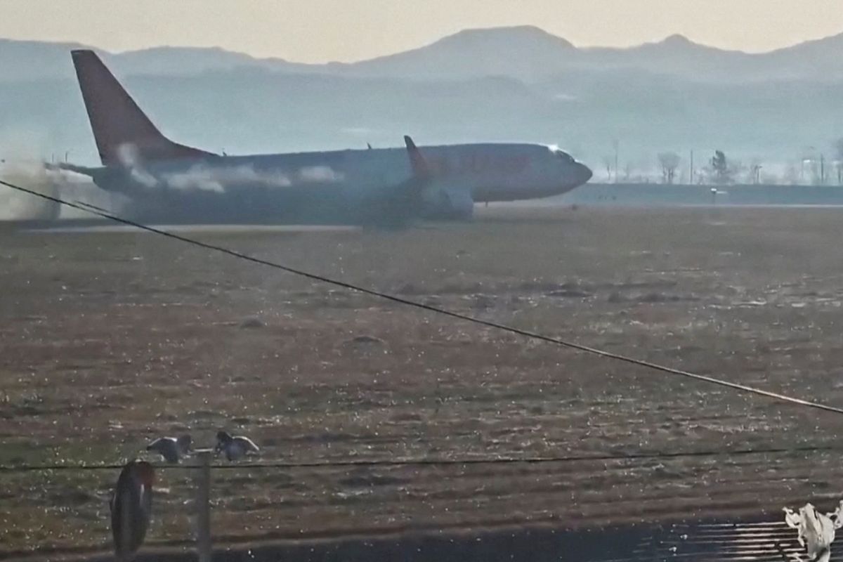 Experts question bird strike as cause of South Korea plane crash