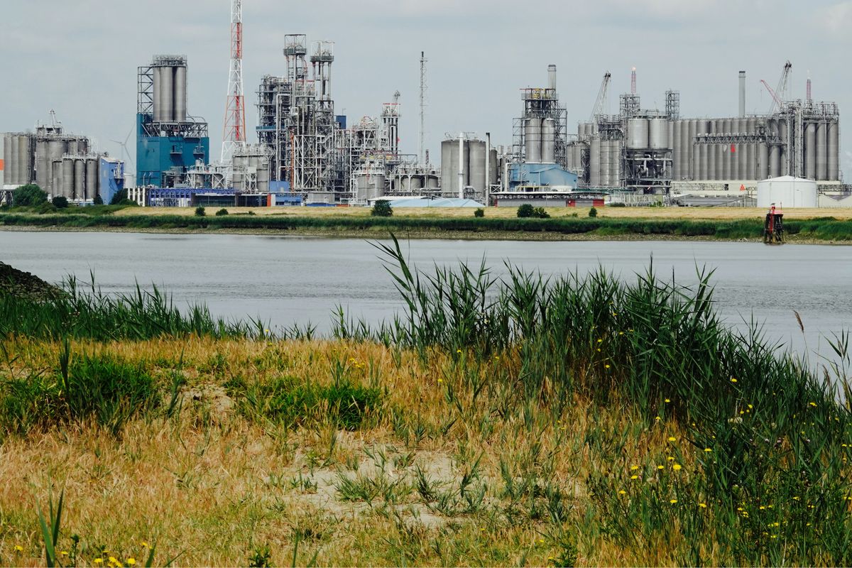 OPEC+ extends voluntary oil cuts until November amid market uncertainty