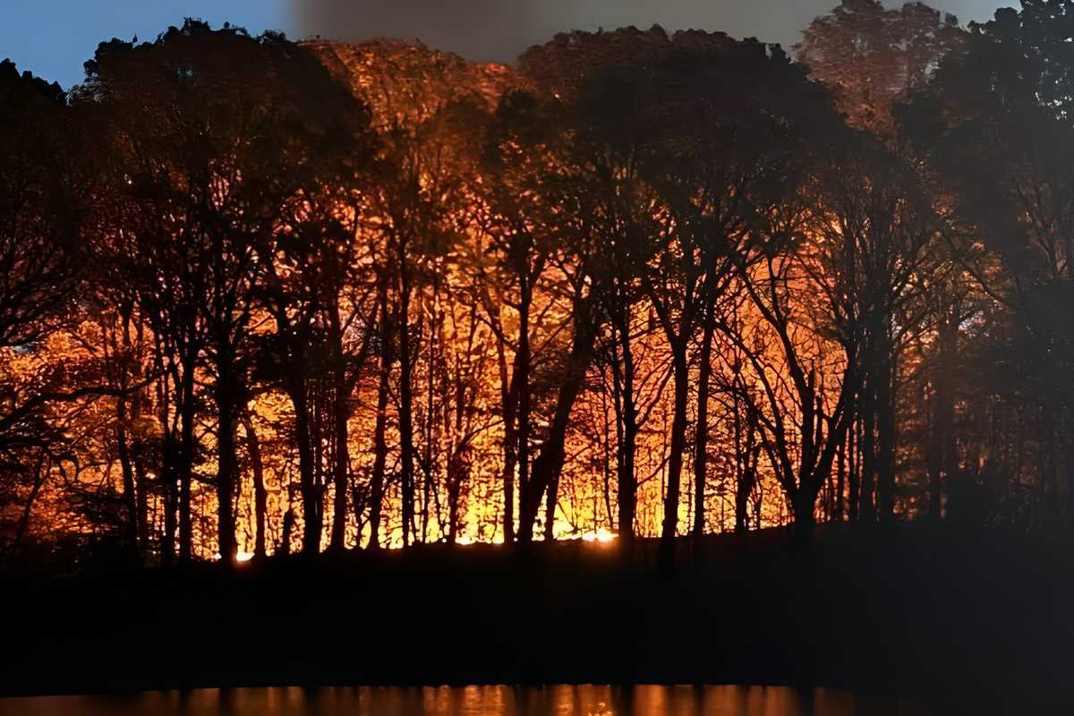 Rare brushfire in New York stoked by heat, drought