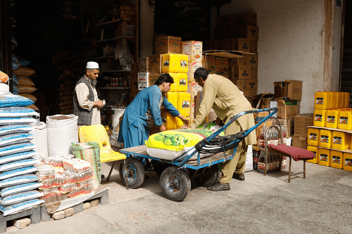 CAP urges private wheat imports as Pakistan faces 4 million-ton shortfall