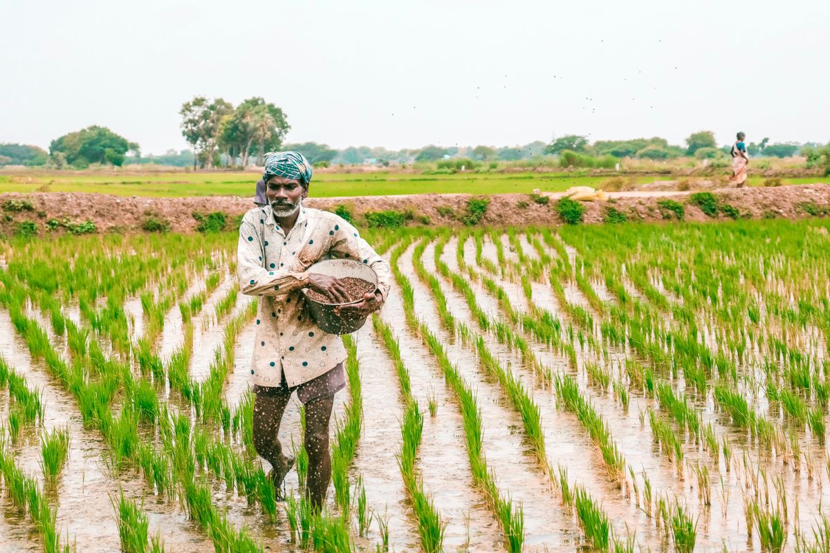 UAE unveils ChatGPT tool for farmers at COP29