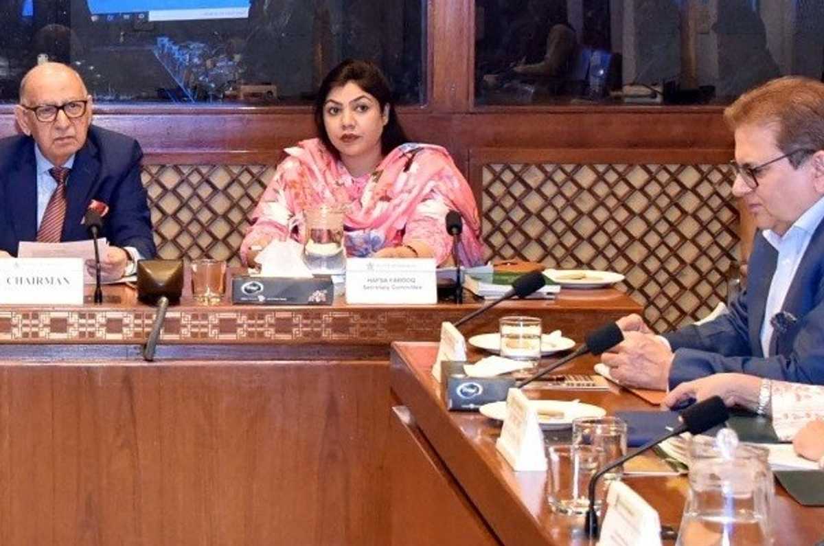 Pakistan's Senate panel discusses Afghan ties, terrorism concerns, and Iran incident