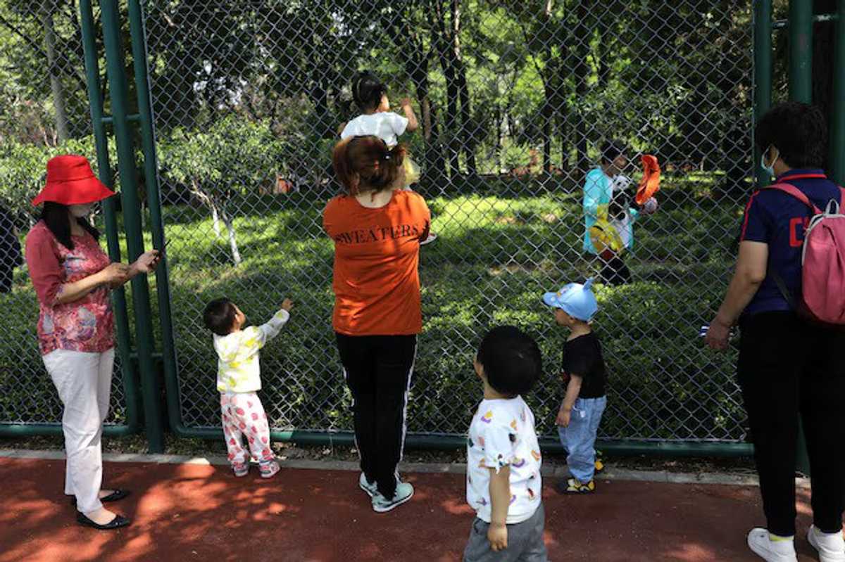 More steps needed to maintain fertility level in China, Xi says