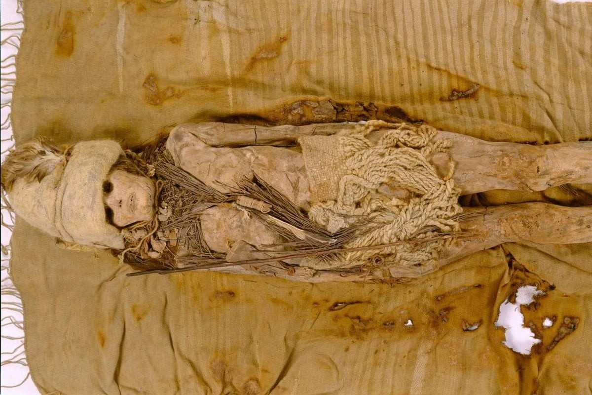 Scientists discover 3,500-year-old cheese buried with mummies in China