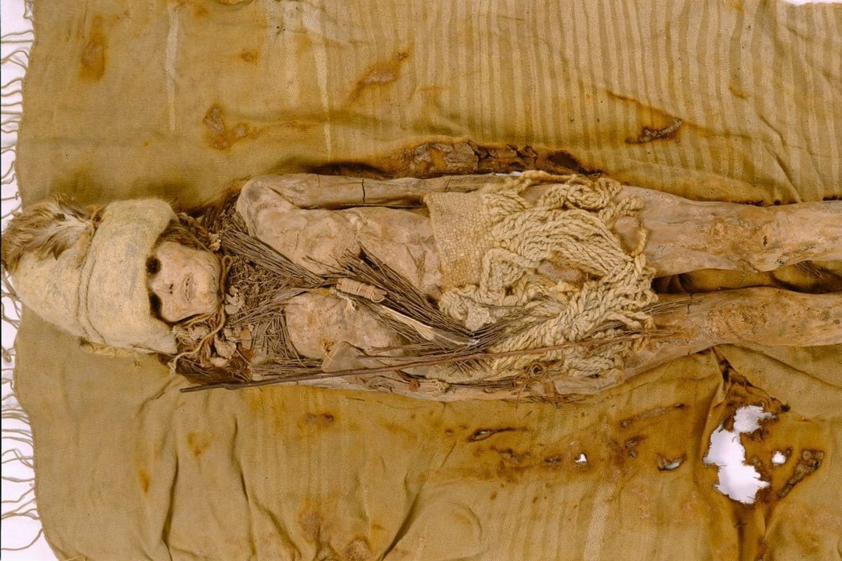 Scientists Discover 3 500 year old Cheese Buried With Mummies In China Scientists Discover 3 500 year old Cheese Buried With Mummies In China