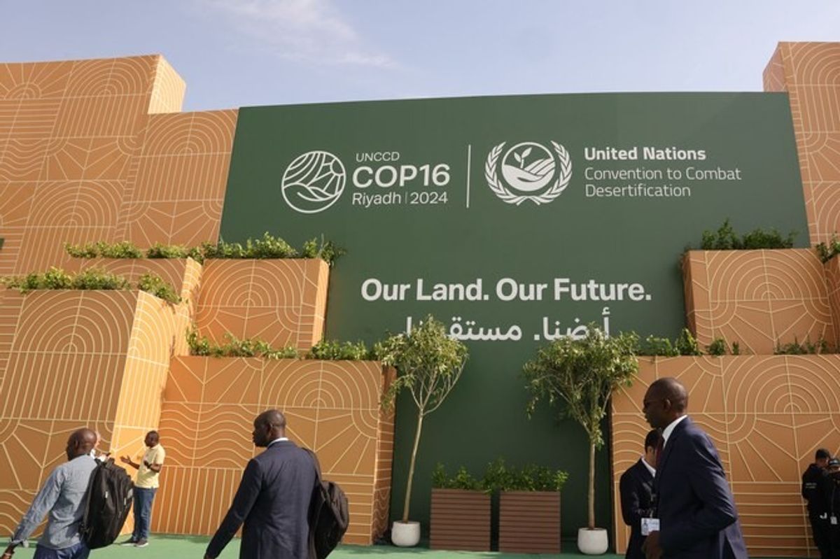 COP16 report warns three-quarters of global land 'permanently drier'