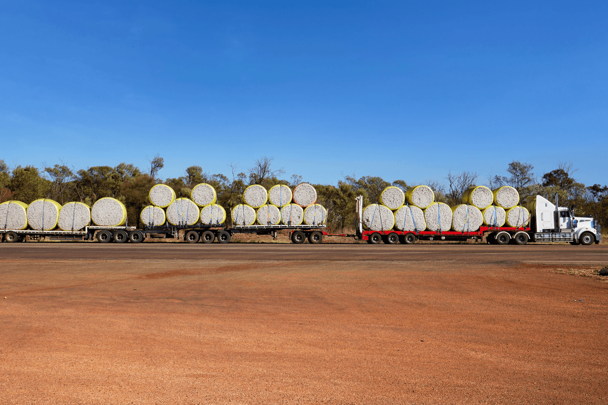 Pakistan textile mills sign deals for import of 1 million cotton bales