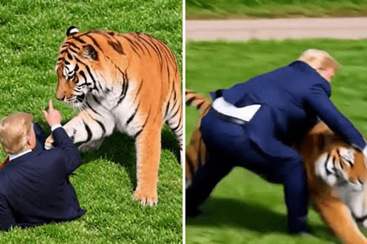 Family of UK man killed by tiger urges end to video sharing after Trump post